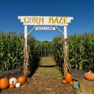 5th - Dubose's aMAZEing 5th